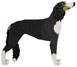 Ravenskeep Light of the Moon — “Mahtab”