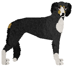 Profile image of Ravenskeep Light of the Moon