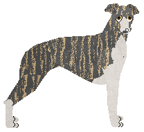 Profile image of Ravenskeep Cameron