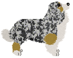 Torleiv Silver Lining — “Silverfen”