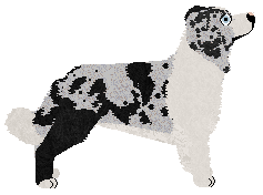 Imagination Greatest Conqueror at Come Bye — “Maxim”