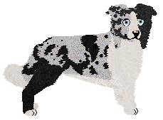 Profile image of Imagination Greatest Conqueror at Come Bye