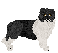 Fleetrun On The Moor — “Highmoor”