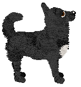 Profile image of Fleetrun Echo Till Silence