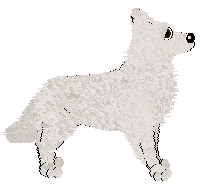 Fleetrun Razorsharp — “Rako”