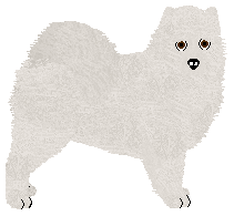 Profile image of Wolf Hollow's Like A Hurricane