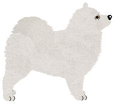 Wolf Hollow's Whole Lotta Love — “Lotta”