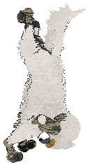 Cirrutopia's The Grand Finalis at Vanilla — “Finalis”