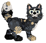 Krunchez' Rather Outdoorsy at Vanilla — “Forager”