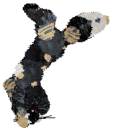 Krunchez' Rather Outdoorsy at Vanilla — “Forager”