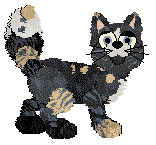 Krunchez' Rather Outdoorsy at Vanilla — “Forager”