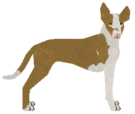 Profile image of Rosestone's Based On Fantasy