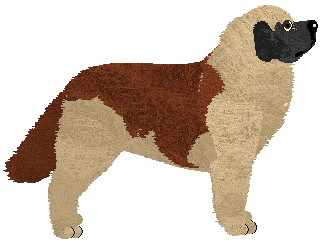 Gladiator Calpernia — “Idem”