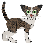 Parody Timeless Melody — “Vinyl”