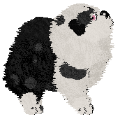 Krunchez' Black & White & Cute All Over at Vanilla — “Marshalade”