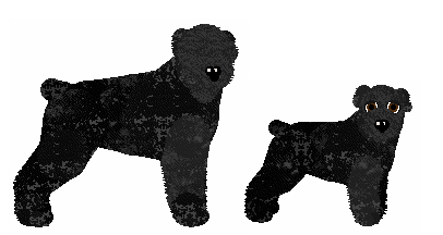 Profile image of Samhradh's Minutes To Midnight