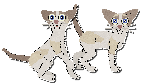 Profile image of Parody Behind Prayers