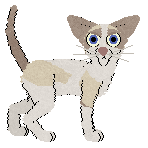 Parody Behind Prayers — “Holly”