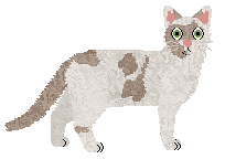 Fauvelle's Truth of Pursuit — “Pasha”