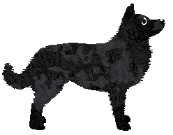 Rosestone's One Single Microbead — “Idiot Dog”