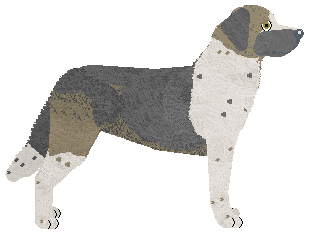 Filthy's Thunder Over Taurus — “Taurus”