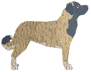 Filthy's Guardian of the Bronze Horizon — “Horizon”