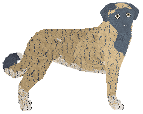 Profile image of Filthy's Guardian of the Bronze Horizon