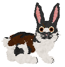 Moth's Storm and Adore @ Sekkanza — “Julep”