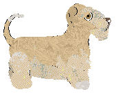 Rosestone's Level The Playing Field — “Spencer”