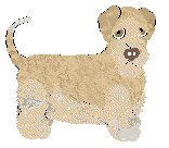 Rosestone's Level The Playing Field — “Spencer”