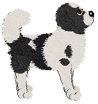 Cargo's Chocolate Snowball — “Snowball”