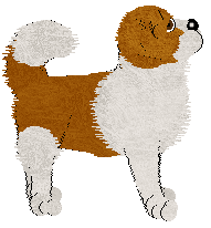 Cargo's Found the Beat — “Berner”