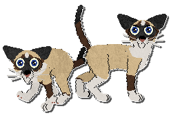 Profile image of Parody Curtains & Stars