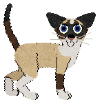 Parody Curtains & Stars — “Rolo”