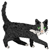 Macavity's Mezzo Piano — “Alto”