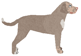 Witz's Bon Ton Roula — “Alida”