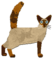 Profile image of Tahnim Alibi of Chronology