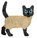 TWM's Up In The Exosphere — “Space Girl”