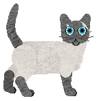 TWM's Celestial Criss-cross — “Lunar Eclipse”