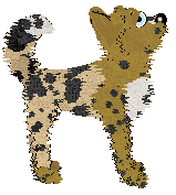 Alohomora's On The Rocks at Medusa — “Ginger Rye”