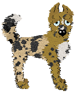 Alohomora's On The Rocks at Medusa — “Ginger Rye”