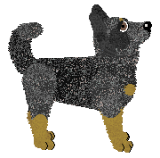 Fleetrun Counter Strike — “Astralis”