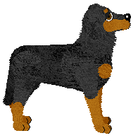 Fleetrun Bracken Fern — “Bracken”