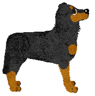 Fleetrun Bracken Fern — “Bracken”