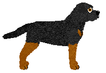 Ravenskeep Margaret — “Maggie”