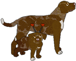 Profile image of Witz's La Vie en Rose