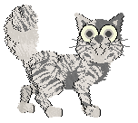 Funfetti's Premium Product at Medusa — “Platinum”