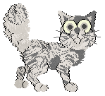 Funfetti's Premium Product at Medusa — “Platinum”