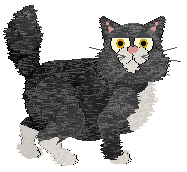 Taremu Juice On — “Beetroot”