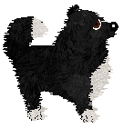 PD's Dressed to Kill — “Bow Tie”